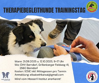 Flyer Therapiebegleithunde Trainingstag