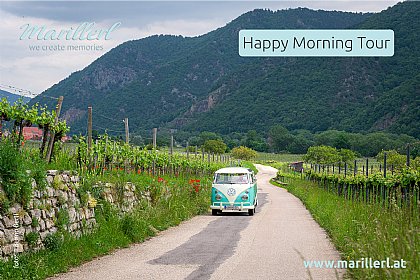 Bulli in Weinberglandschaft Wachau