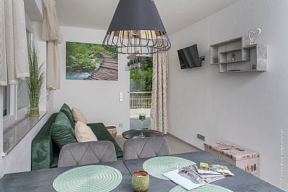 Apartment 1 - Wohnzimmer 1