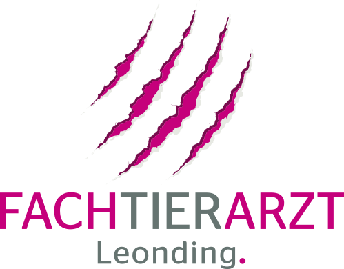 www.fachtierarzt-leonding.at